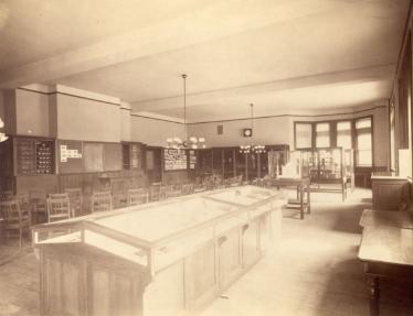 Educational Museum_NYC_School_Structures