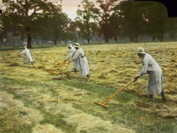 Women_Making_Hay_Rothman_Lantern_Slide