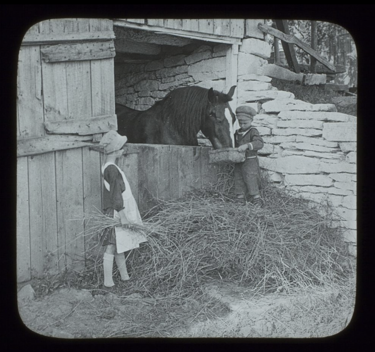 Horse_Being_Fed_by_Children_Rothman_Lantern_Slide